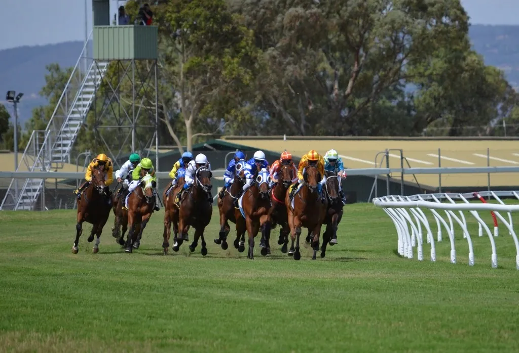 Thoroughbreds down the stretch