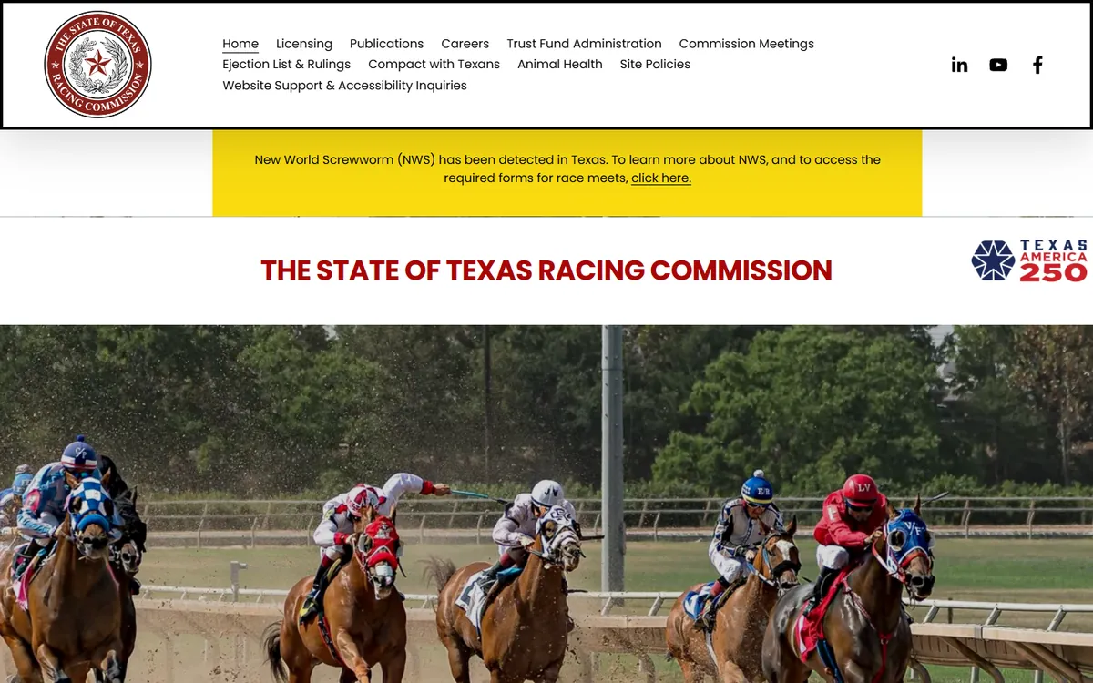 The Texas gaming regulator website screenshot