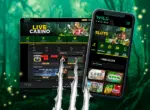 Wild Casino online