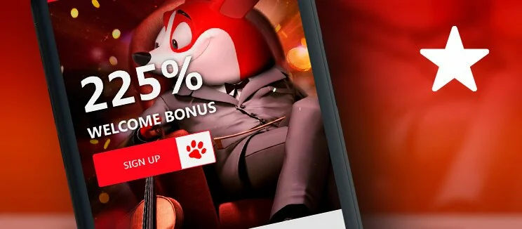 Red Dog Casino Quality Payout