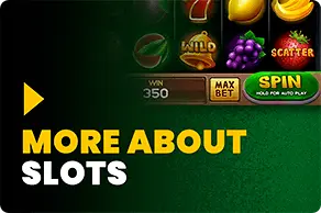 MORE ABOUT SLOTS