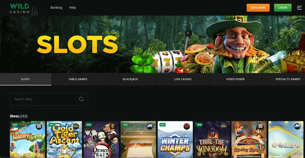 Wild Casino Slots website