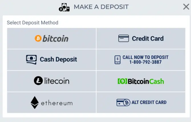 BetUS Make A Deposit