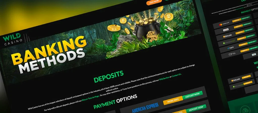 Wild Casino