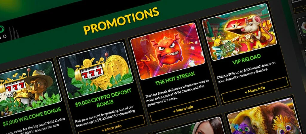 Wild casino prmotions