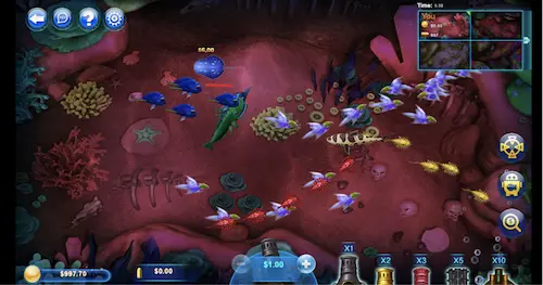 Fish Catch Screen
